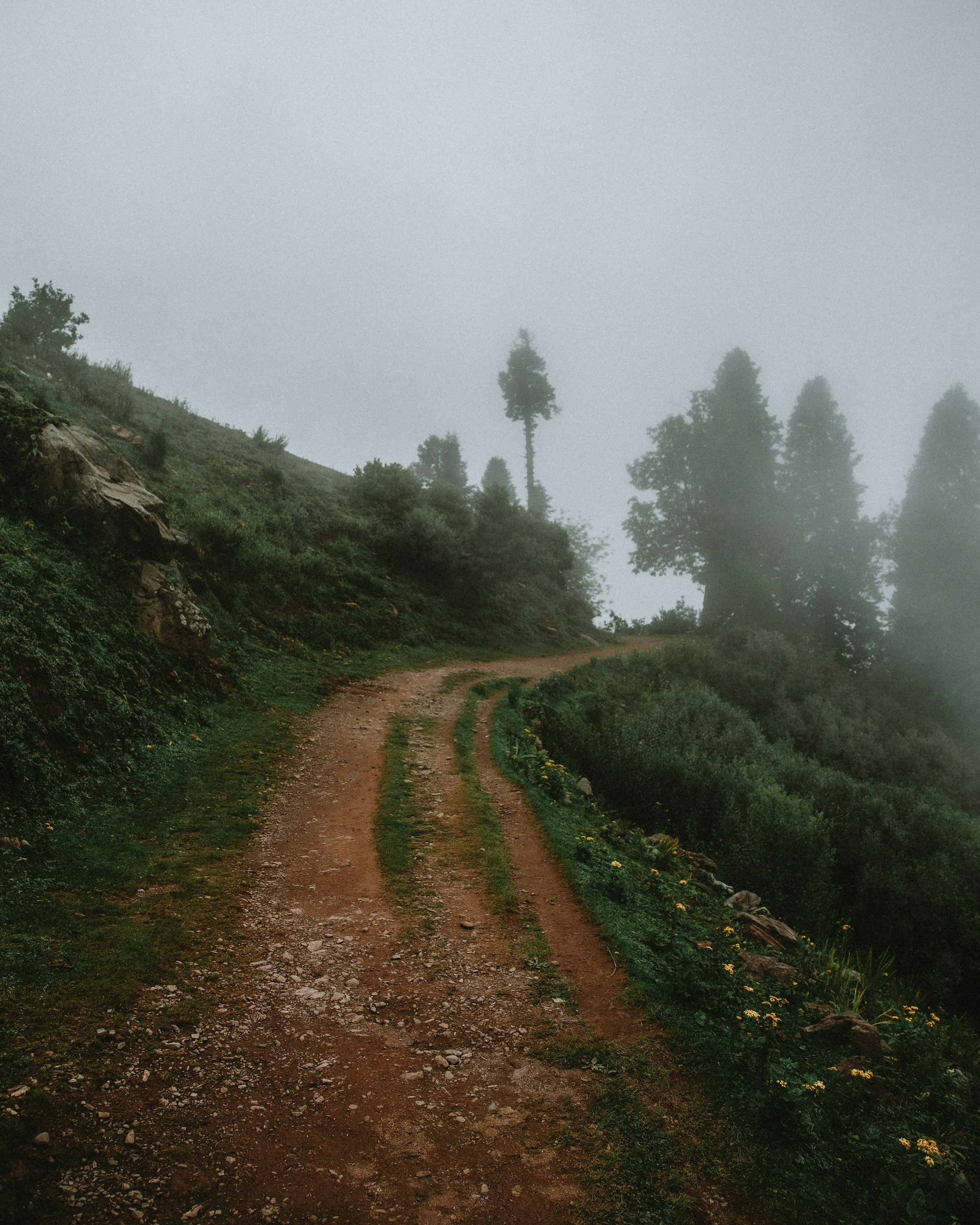 Feldweg im Morgennebel